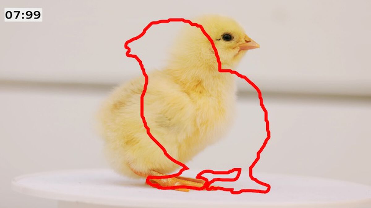 Freeze It – Easter Edition image number null